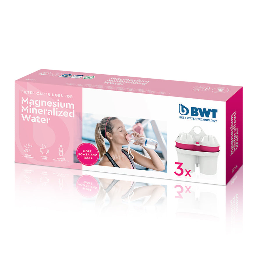 BWT AQUAlizer Filter Cartridges 3 Pack